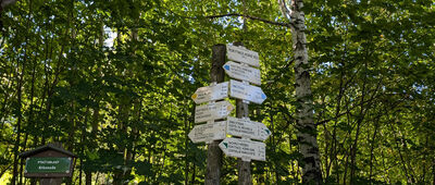 Rokytnice Nad Jizerou, Horní Ves