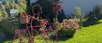 Rokytnice Nad Jizerou ↔ Rokytnice Nad Jizerou, Horní Ves