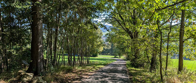 Pod Liščí Dírou ↔ Rokytnice Nad Jizerou