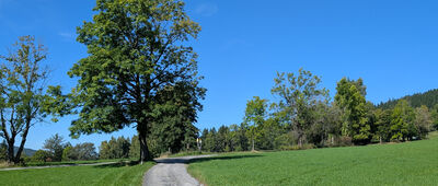 Pod Liščí Dírou ↔ Rokytnice Nad Jizerou