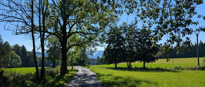 Liščí Díra ↔ Pod Liščí Dírou