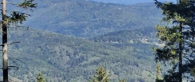 Odejście ścieżki edukacyjnej ↔ Kolista Polana