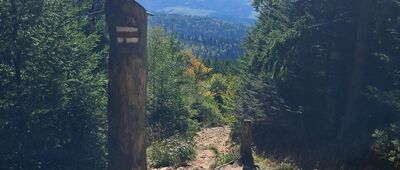 Radziejowa ↔ Przełęcz Żłobki