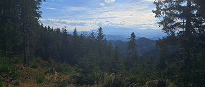 Schronisko PTTK Przehyba ↔ Rozdroże Pod Wielką Przehybą