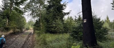 Przełęcz Jaworowa, wiata