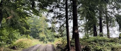 Przełęcz Jaworowa, skrzyżowanie