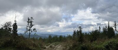 Przełęcz Jaworowa, skrzyżowanie