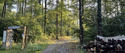 Przełęcz pod Trzeboniem