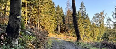 Przełęcz Jaworowa, skrzyżowanie ↔ Przełęcz pod Trzeboniem