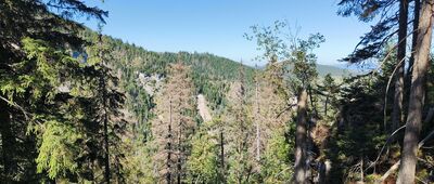 Monkova dolina, V žlabkoch ↔ Poľana pod Hlasnou skalou