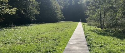 Ojców, odejście szlaku żółtego ↔ Dolina Sąspowska