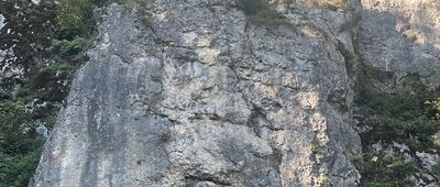 Brama Krakowska ↔ Ojców, odejście szlaku czarnego