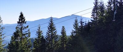 Hala Miziowa, wyciąg