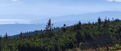 Góra Pięciu Kopców ↔ Las Suchowarski