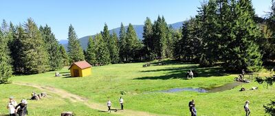 Schronisko PTTK Hala Lipowska