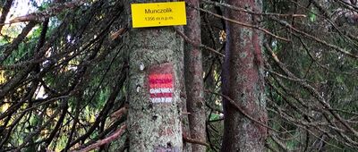 Hala Cudzichowa ↔ Pod Muńczolikiem