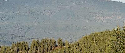 Schronisko PTTK Na Hali Miziowej ↔ Hala Miziowa, skrzyżowanie szlaków