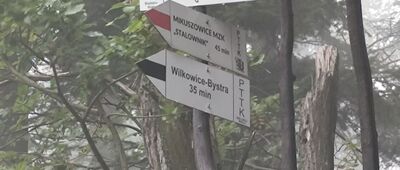 Do Piotra, skrzyżowanie