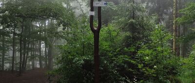 Przełęcz pod Czuplem