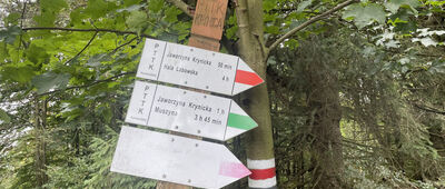Diabelski Kamień ↔ Skrzyżowanie szlaków czerwony / zielony