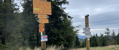 Pod Jaworzyną Krynicką, odejście do schroniska