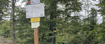 Runek ↔ Czubakowska