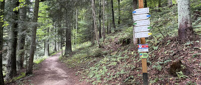 Przełęcz Krzyżowa, rozejście szlaków