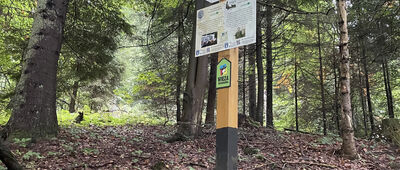 Przełęcz Krzyżowa, rozejście szlaków