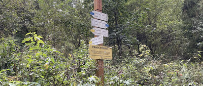 Skrzyżowanie szlaków niebieski / żółty