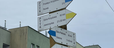 Skrzyżowanie szlaków niebieski / żółty ↔ Krynica Zdrój