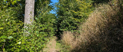 Kaplica św. Anny ↔ Rozejście szlaków