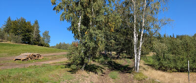 Przełączka pod Grabowcem [Przełączka pod Grabowcem]