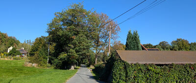 Mysłakowice, Pałac Cesarski ↔ Staniszów