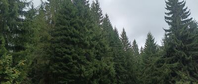 Rázcestie pod Bystrou