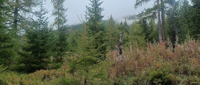 Biely Váh, rázc. ↔ Nad Bielym Váhom