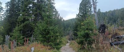 Jamské pleso ↔ Nad Bielym Váhom