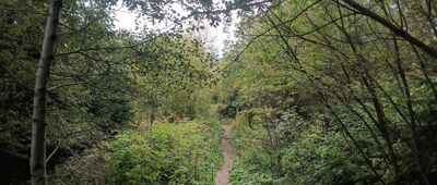 Bývalá Važecká chata ↔ Jamské pleso