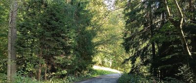 Úzka dolina, parking