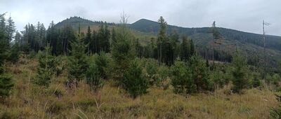 Nad Bytom ↔ Rozejście szlaków