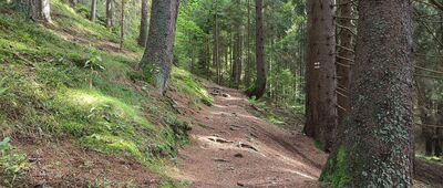 Úzka dolina, parking ↔ Rozejście szlaków