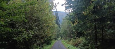 Nadbanské ↔ Nad Bytom