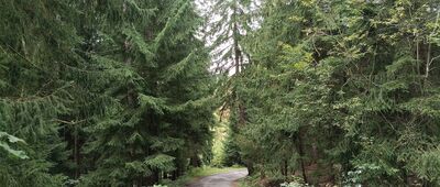 Odbočka na Baranec a Plačlivé