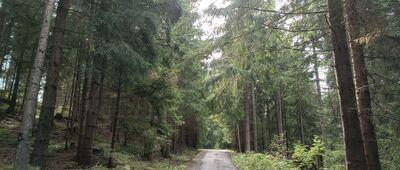 Žiarska dolina, ústie ↔ Odbočka na Baranec a Plačlivé