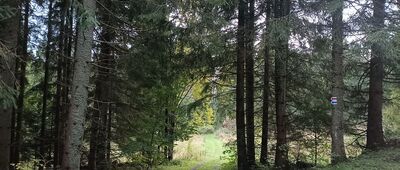 Podbanské, rozc. ↔ Podbanské