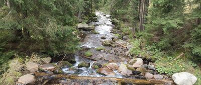 Žiarska dolina, zastavka ↔ Žiarska dolina, ústie