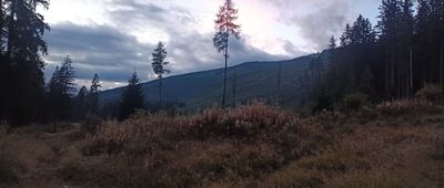 Rázcestie pod Bystrou ↔ Podbanské, rozc.