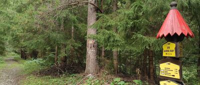 Jalovecká dolina, ústie