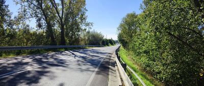 Zajezierze ↔ Głusiec, kurhan [nieprzyjemny fragment szlaku - pobocze ruchliwej drogi]