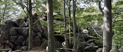 Ořešník, rozc. ↔ Ořešník