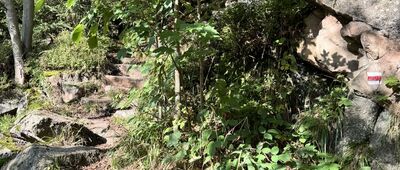 Ořešník, rozc. ↔ Velký Štolpich, vodopád